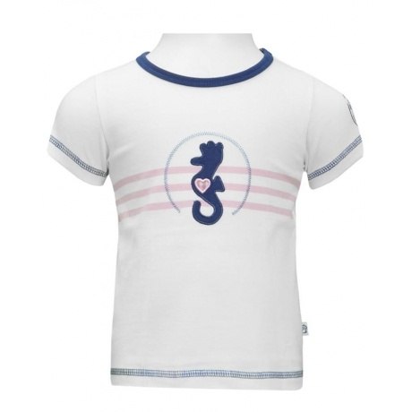 meerstil Seepferdchen