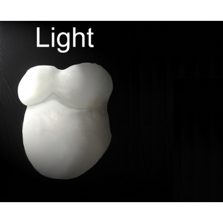 Babybauch Gips-Abdruck Set LIGHT