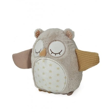 Nighty Night Owl Smart Sensor