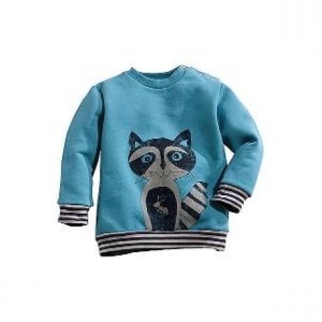 Sweatshirt "Racoon"