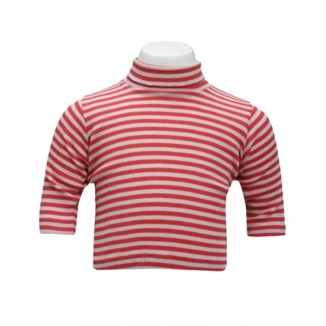 Longsleeve mit Rollkragen 