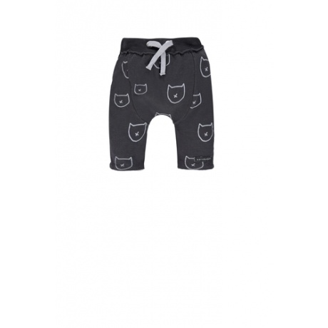 Jogginghose Katze