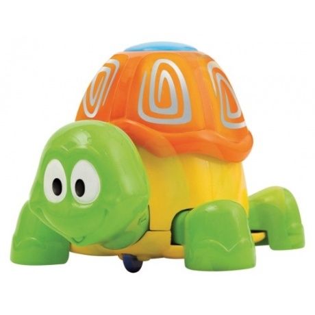 Krabbel-Schildkröte