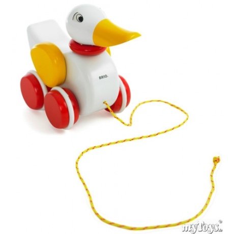 Brio Ente