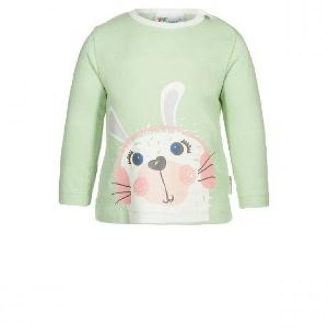 Langarmshirt pistachio