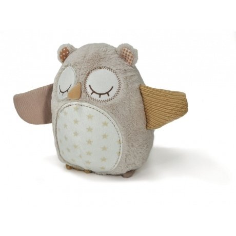 Nighty Night Owl Smart Sensor