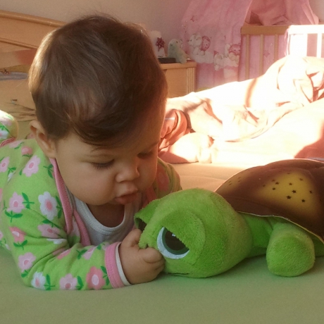 Twilight Sea Turtle™