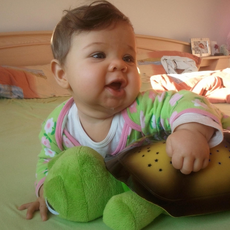 Twilight Sea Turtle™