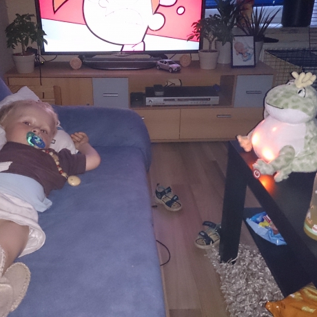 Twinkling Firefly Frog™, Kuschel Frosch Einschlafhilfe