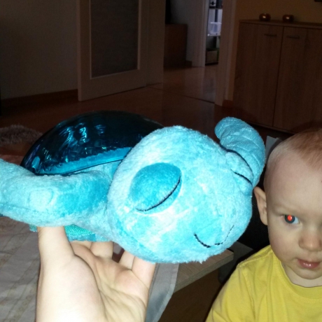 Tranquil Turtle™ - Ocean