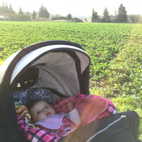 Kinderwagen Topline S