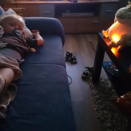 Twinkling Firefly Frog™, Kuschel Frosch Einschlafhilfe