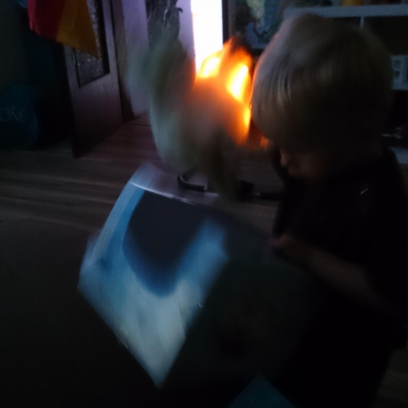 Twinkling Firefly Frog™, Kuschel Frosch Einschlafhilfe