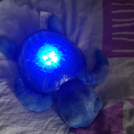 Tranquil Turtle™ - Ocean