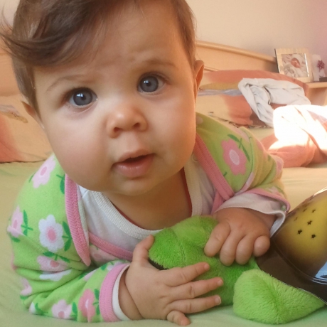 Twilight Sea Turtle™