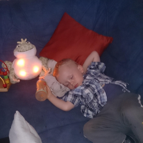 Twinkling Firefly Frog™, Kuschel Frosch Einschlafhilfe